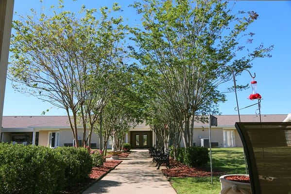 Pathway leading to the facility with trees and benches