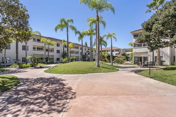 Outdoor walking path surrounded by palm trees and buildings