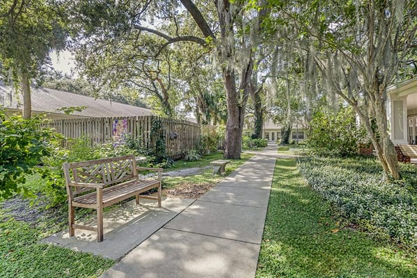 Pathway lined with trees and benches in a garden area