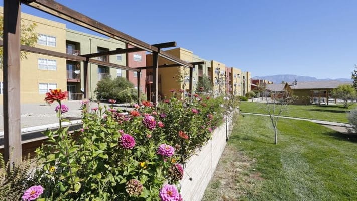 Flower garden with colorful blooms and facility view