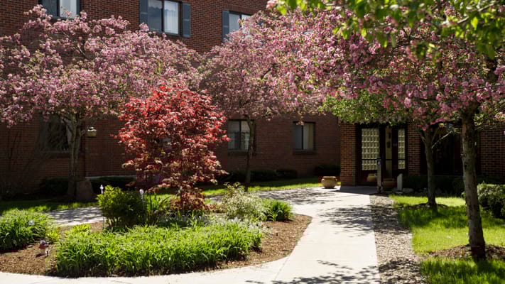 Lush garden with flowering trees outside Comfort Today