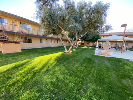Well-maintained garden with a tree and fountain at Desert Marigold Senior Living.