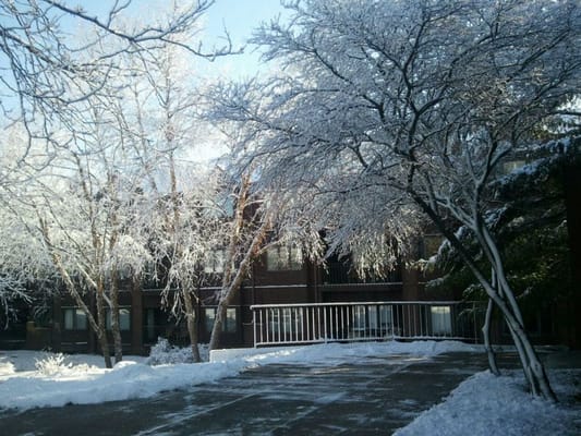 Exterior view of a facility with snow-covered trees