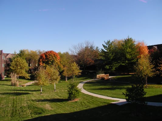Well-maintained landscaped garden with walkways