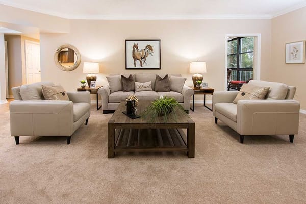 A cozy lounge area with sofas and decorative plants