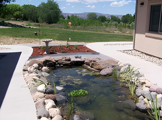 Outdoor garden with a pond and landscaping