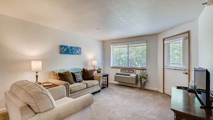 Bright interior living space with couch and decorations