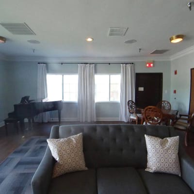 Comfortable gray sofa with decorative pillows in the living room.