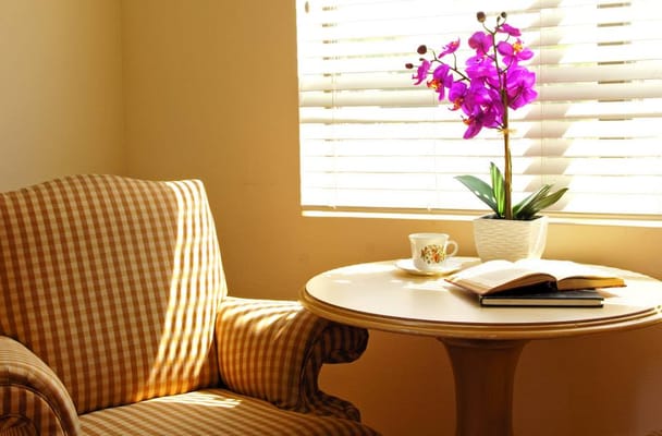 Cozy corner in a resident's room with an orchid