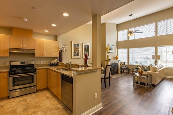 Interior view of a comfortable living space