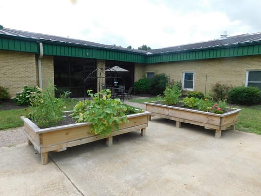 Raised garden beds with plants at Regency Park Senior Living