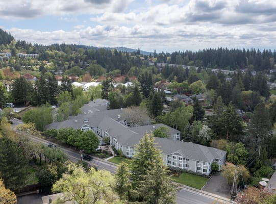 Aerial view of Regency Park surrounded by greenery and residential areas