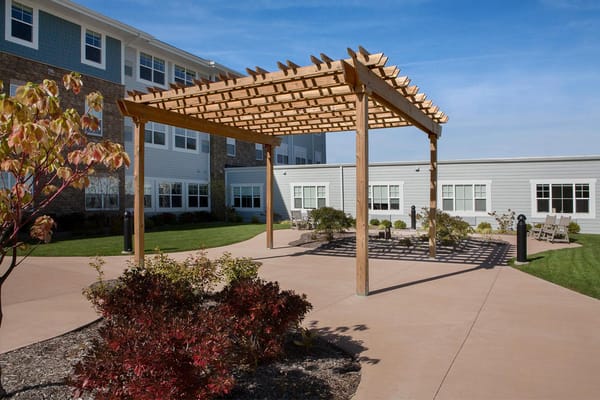 Wooden pergola in an outdoor area with landscaped plants