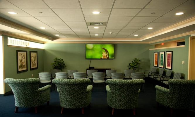 Seating arrangement in a common area with a television and plants