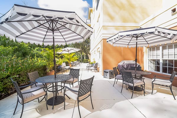 Patio seating area with umbrellas and greenery