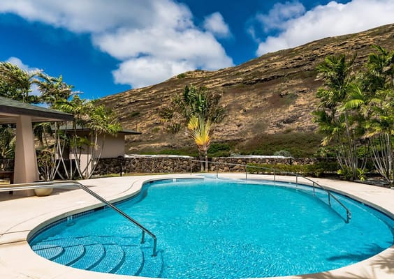 Swimming pool surrounded by tropical landscaping