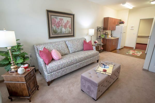 Stylish living room with floral couch and kitchenette