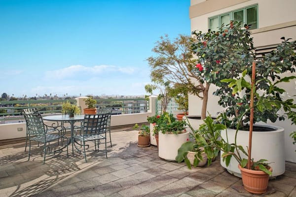 Outdoor patio area with seating and plants at The Stratford