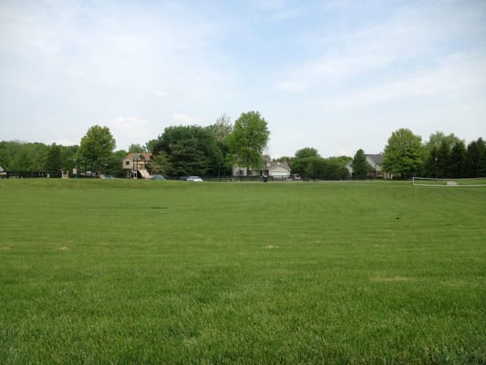 Open green field with playground in the background