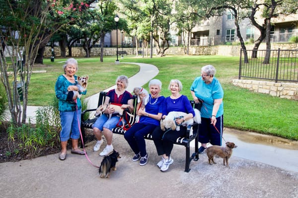 Residents enjoying pet therapy in the garden