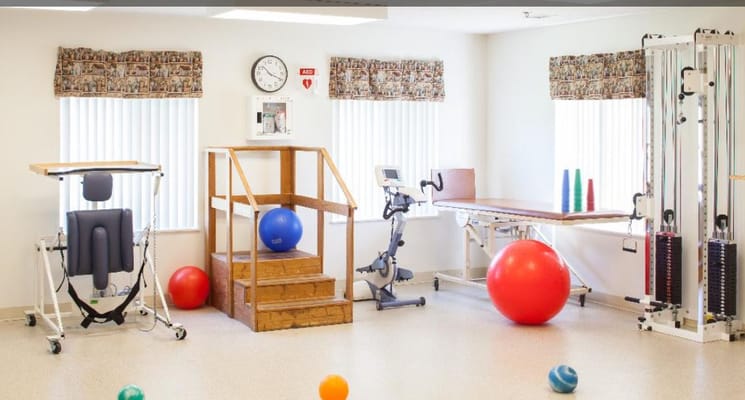 Rehabilitation area with equipment and exercise balls