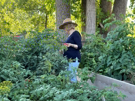 Resident tending to plants in a garden