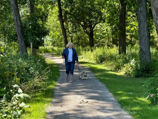 A resident walking a dog on a trail in a green area