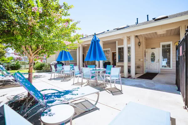 Outdoor area with seating and umbrellas at Claremont Senior Apartments