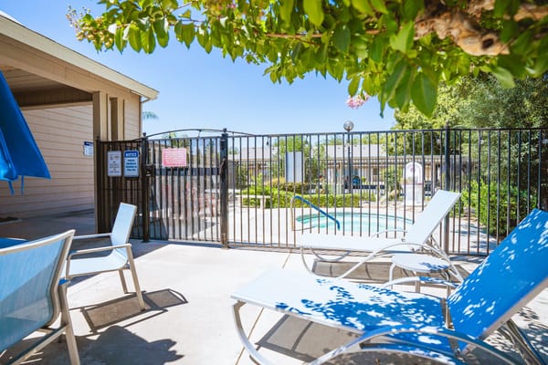 Outdoor pool area with lounge chairs and greenery