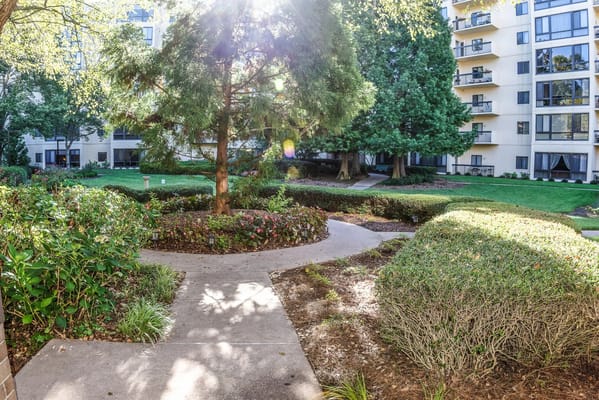Well-maintained garden path surrounded by greenery