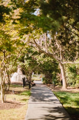 Kensington Park – Groves & Woodlands