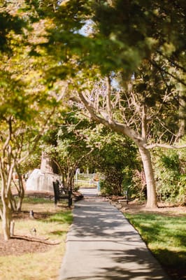Pathway through a green garden area