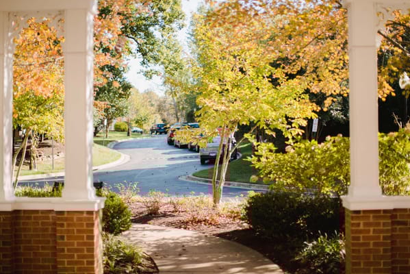 View of a pathway surrounded by autumn trees