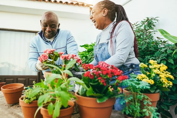 Residents gardening together in a vibrant outdoor space
