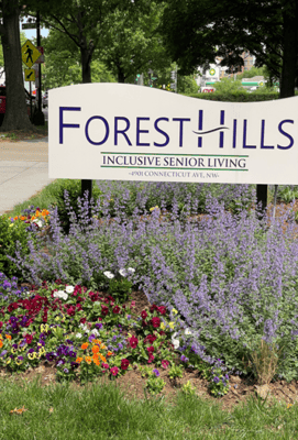 Forest Hills of DC