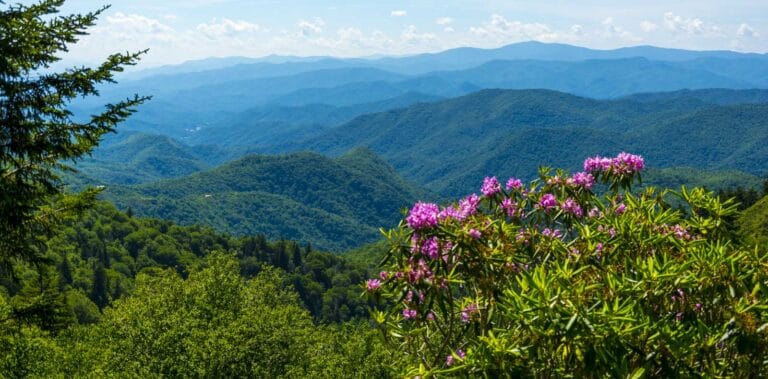 Hospice of Chattanooga