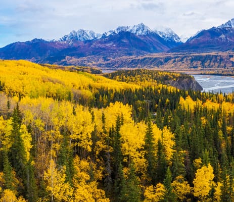 Hospice of Anchorage