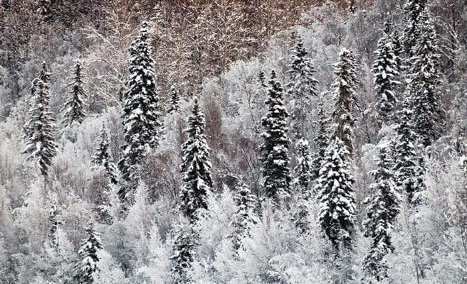 Hospice of Anchorage