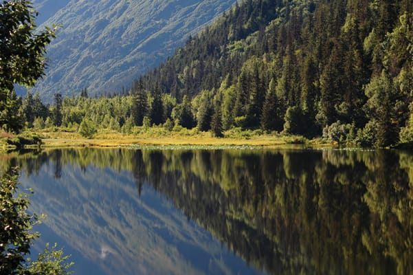 Hospice of Anchorage