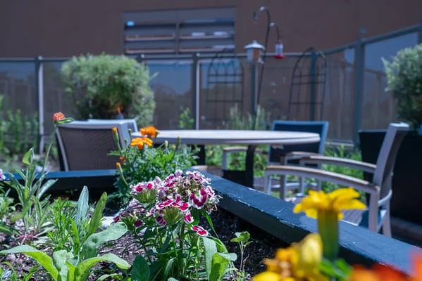 Vibrant garden area with flowers and seating