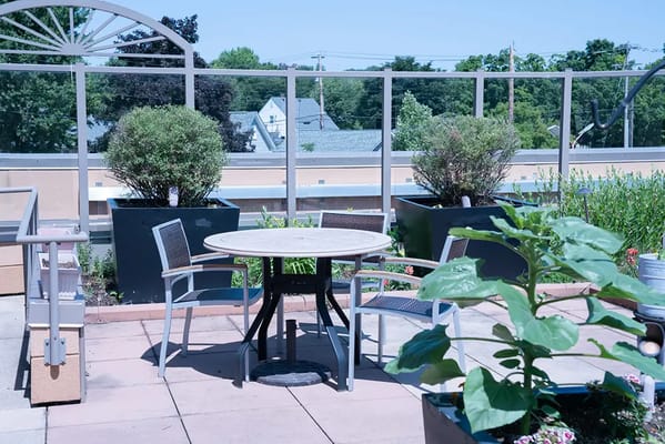 Outdoor seating area with plants and table