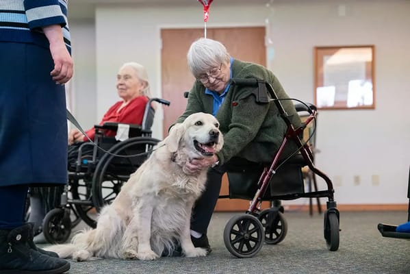 Residents interacting with a therapy dog in a common area