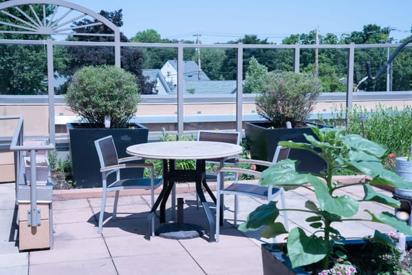 Outdoor seating area with plants and a table