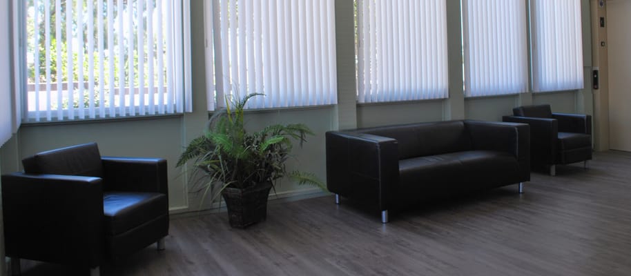 Interior lounge area with black chairs and plants
