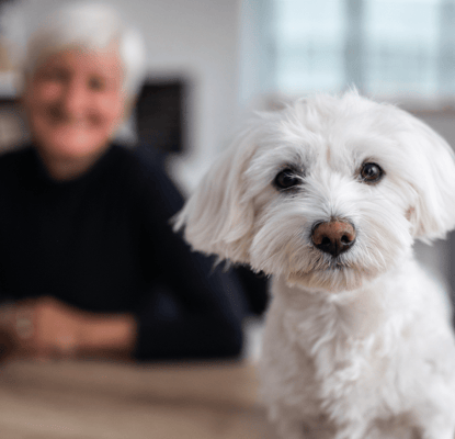 Senior woman smiling with a dog indoors