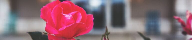 Gruene Senior Living