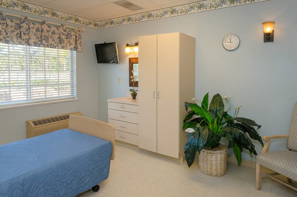 Comfortable resident room with light decor and plant