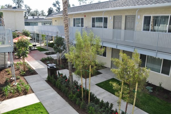 Outdoor view of a landscaped courtyard with pathways