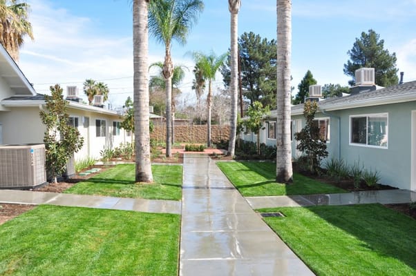 Beautifully landscaped outdoor space with pathways