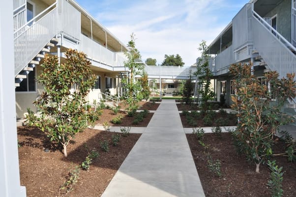 Well-maintained garden area between residential buildings